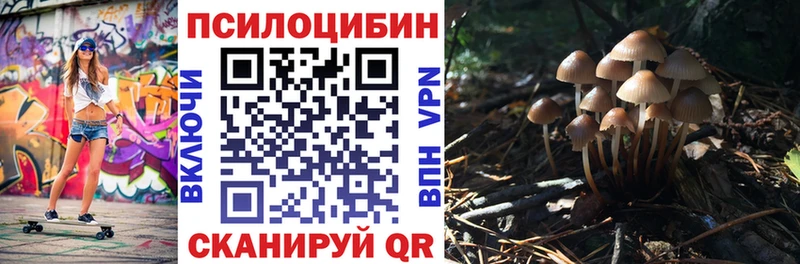 купить закладку  Партизанск  Псилоцибиновые грибы GOLDEN TEACHER 